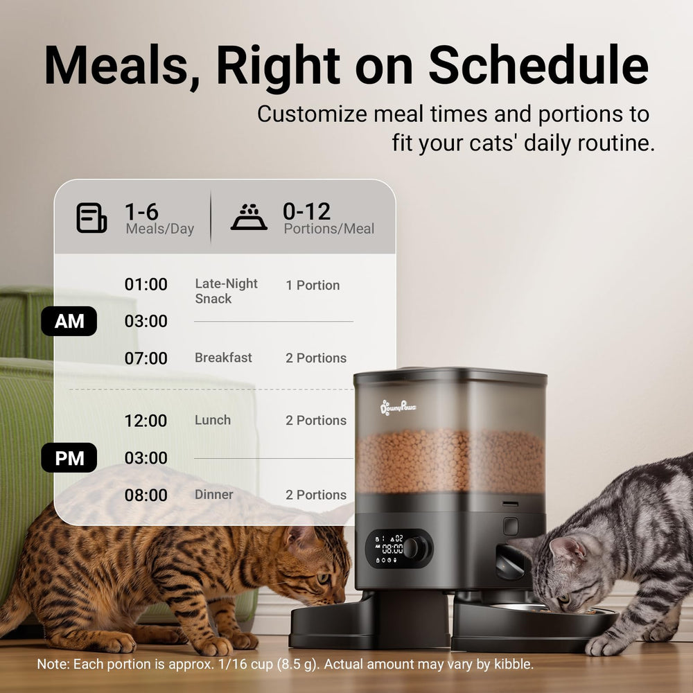 DownyPaws comparaison taille à côté d'un chat pour visualiser encombrement