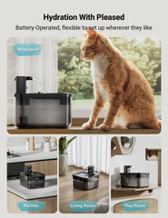 DownyPaws gros plan du bec simulant un robinet pour attirer le chat