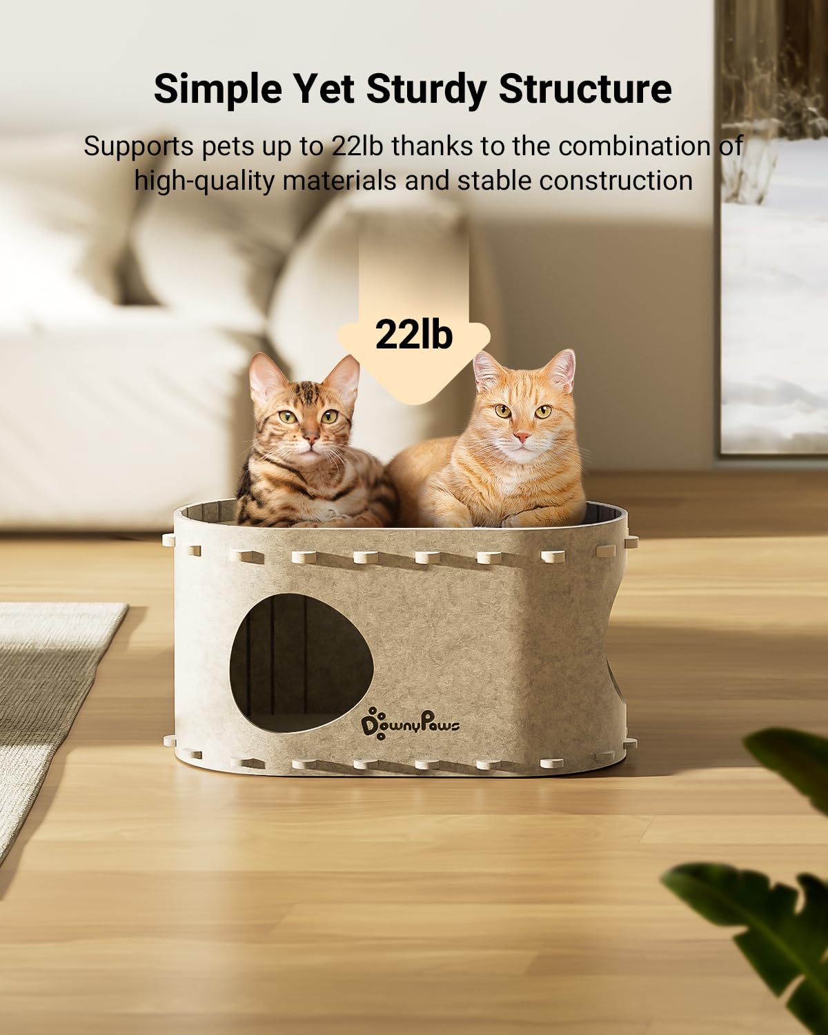 DownyPaws double niveau en usage pour compagnons multiples