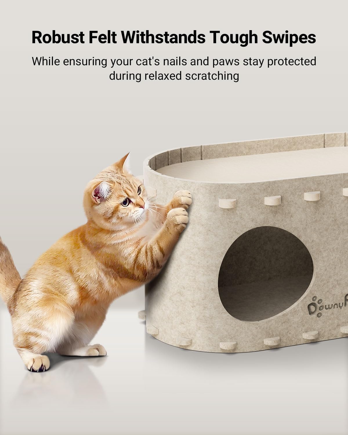 DownyPaws structure robuste supportant sauts et jeux