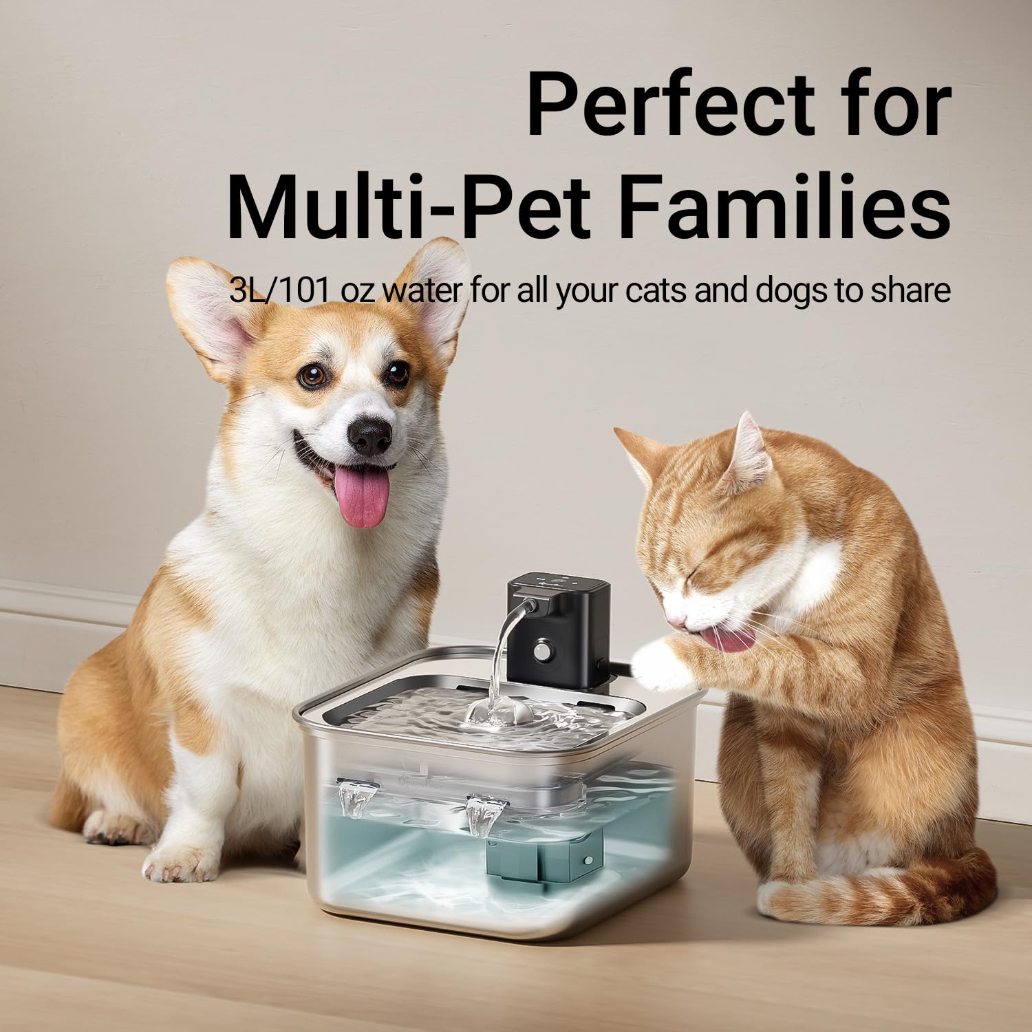 DownyPaws ensemble de filtres multi-étapes pour purification complète