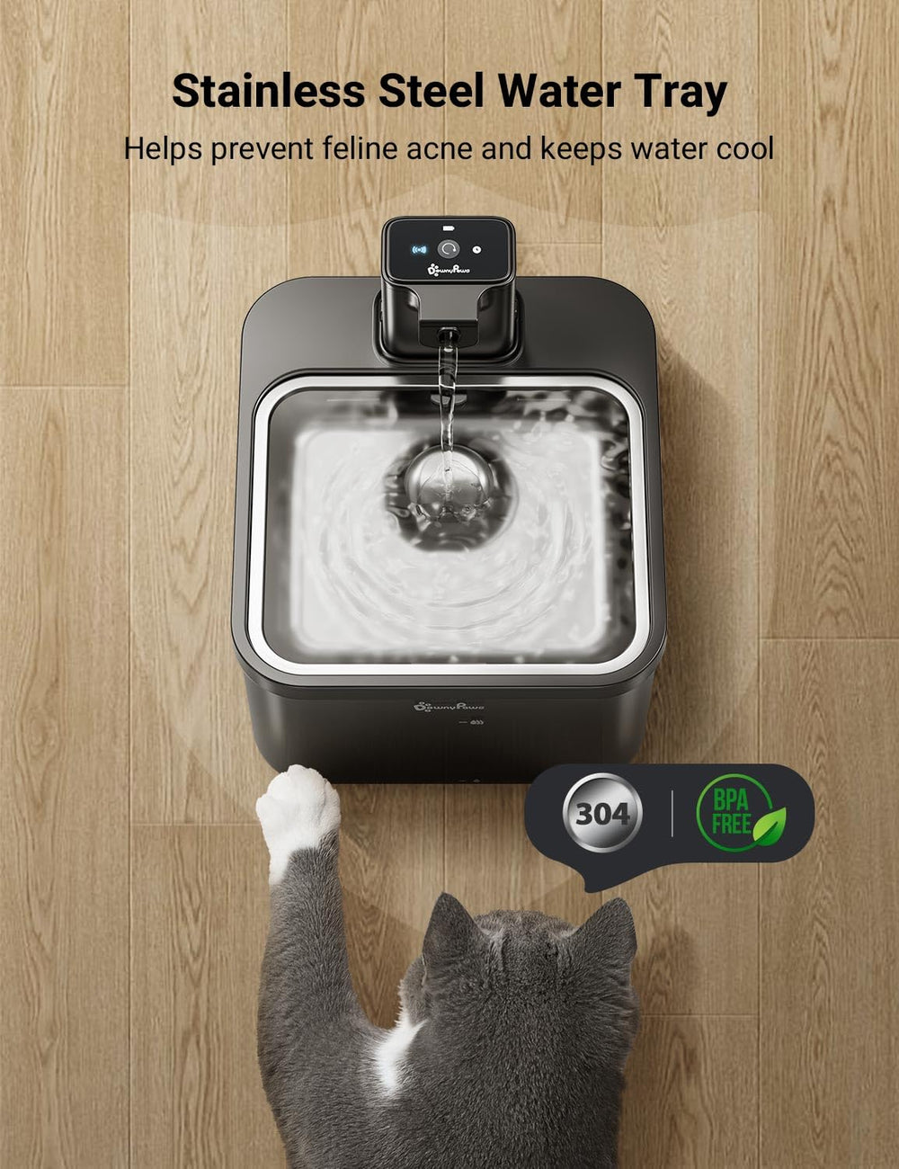 DownyPaws filtres cinq étapes affichés pour eau plus propre et sans odeur