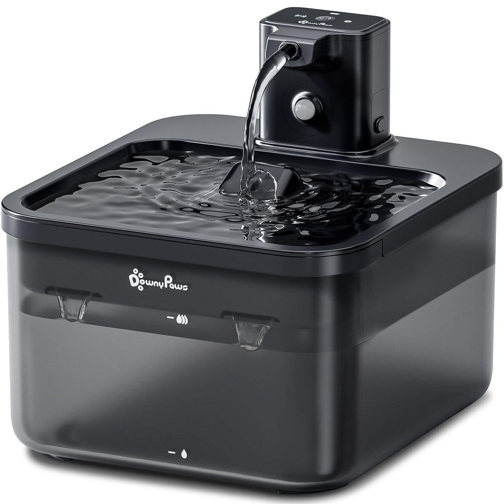 DownyPaws vue de face montrant la fontaine et son réservoir pratique