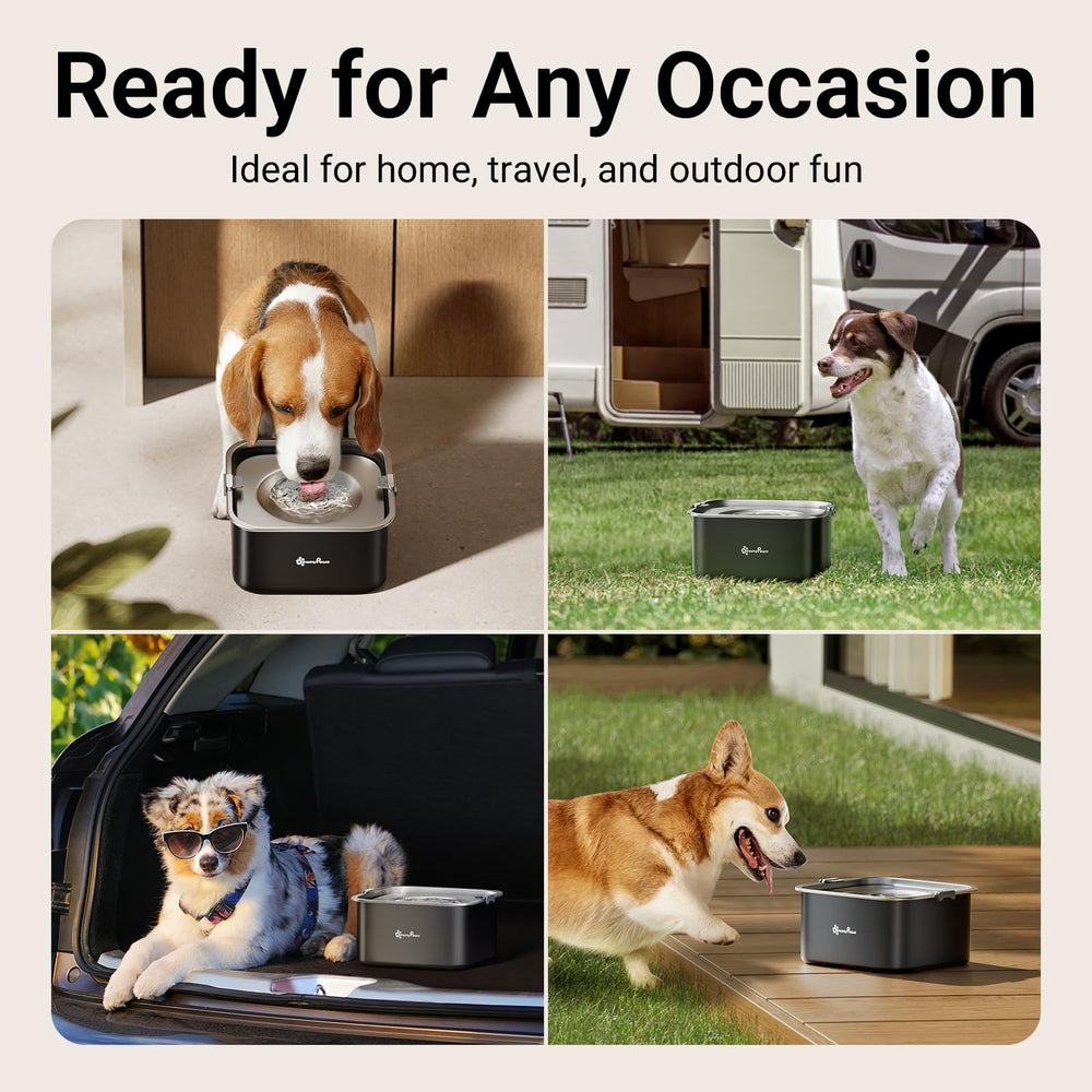 DownyPaws acier inoxydable durable résistant à la rouille facile à nettoyer