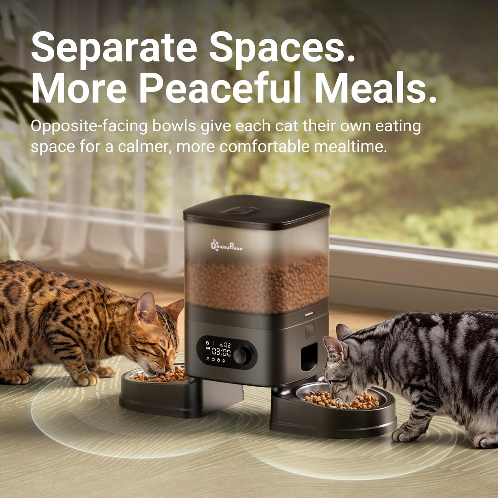 DownyPaws gamelles inox opposées pour repas calme et hygiène améliorée