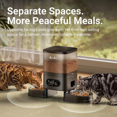 DownyPaws gamelles inox opposées pour repas calme et hygiène améliorée