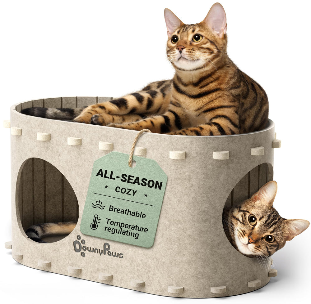 DownyPaws maison avant crème montrant refuge chaleureux