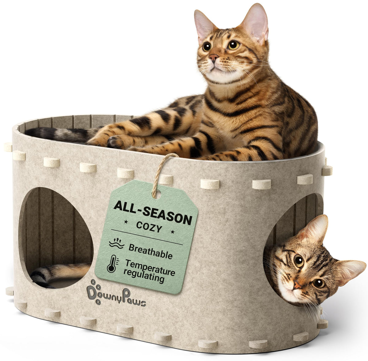 DownyPaws maison avant crème montrant refuge chaleureux