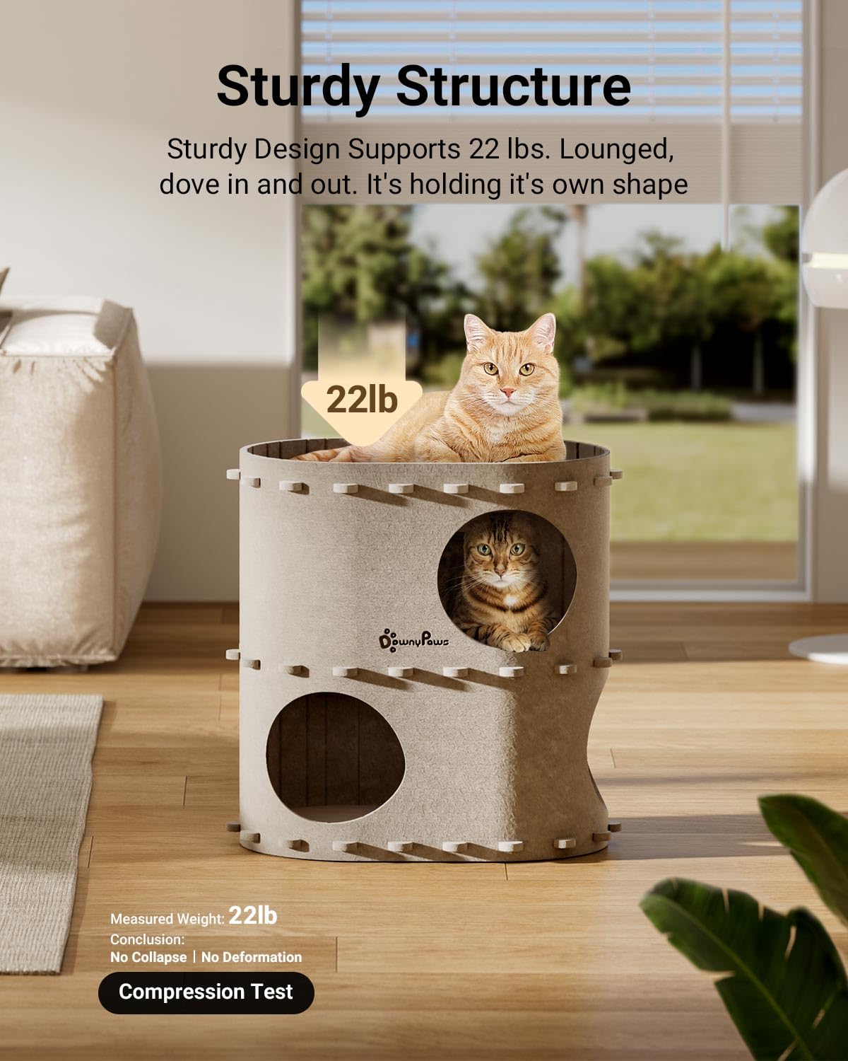 DownyPaws gros plan sur le feutre dense et la texture douce durable