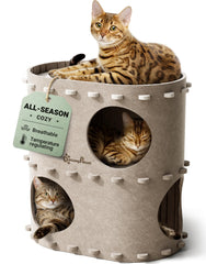 DownyPaws vue avant montrant la maison crème et plusieurs zones de repos