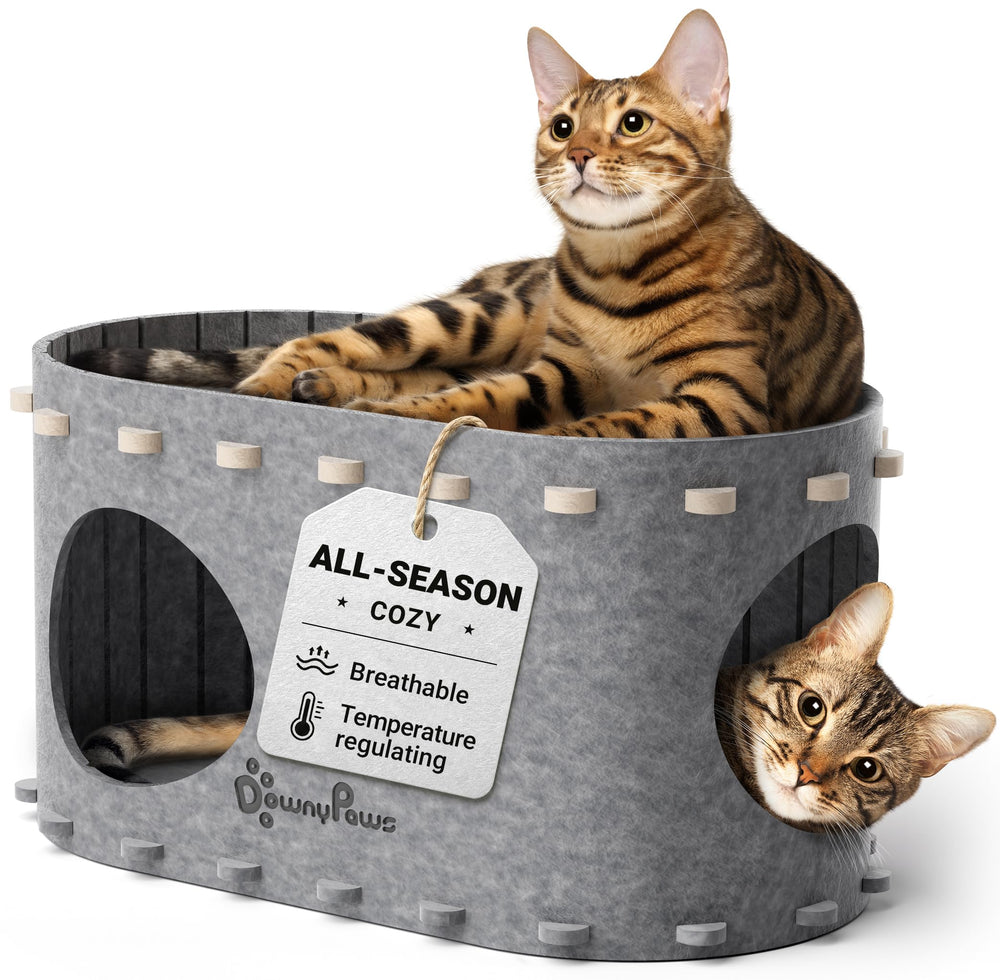 DownyPaws maison face gris clair montrant refuge compact et confortable
