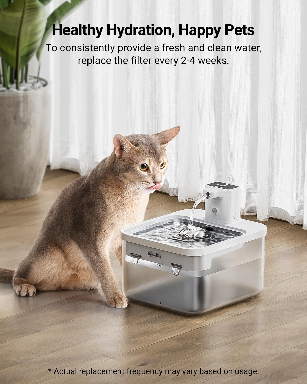 DownyPaws six filtres disposés, réserve pour trois mois d'utilisation