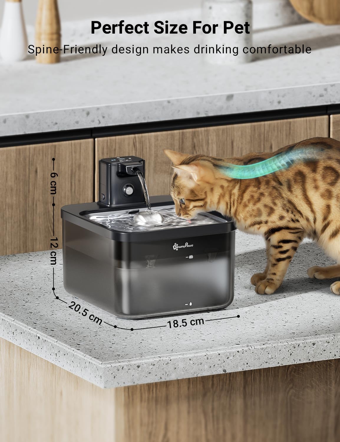 DownyPaws packaging et contenu montrant l'ensemble livré et accessoires inclus