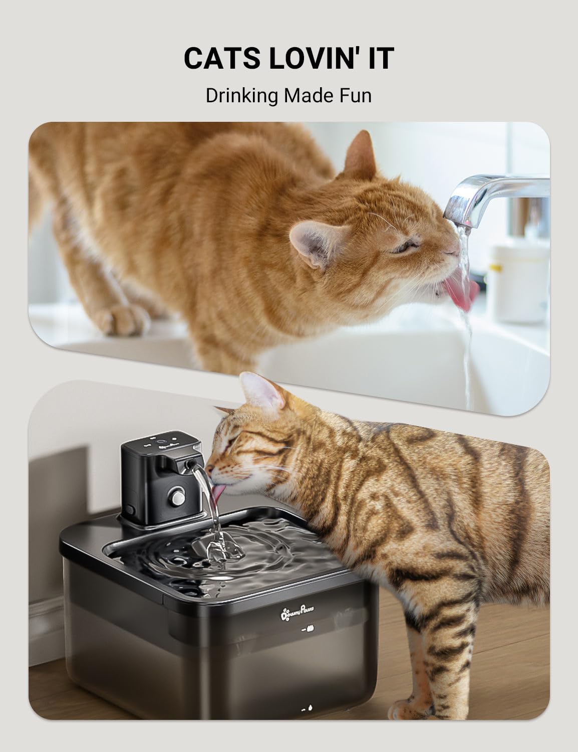 DownyPaws fontaine remplie démontrant la capacité de 2,5 L pratique