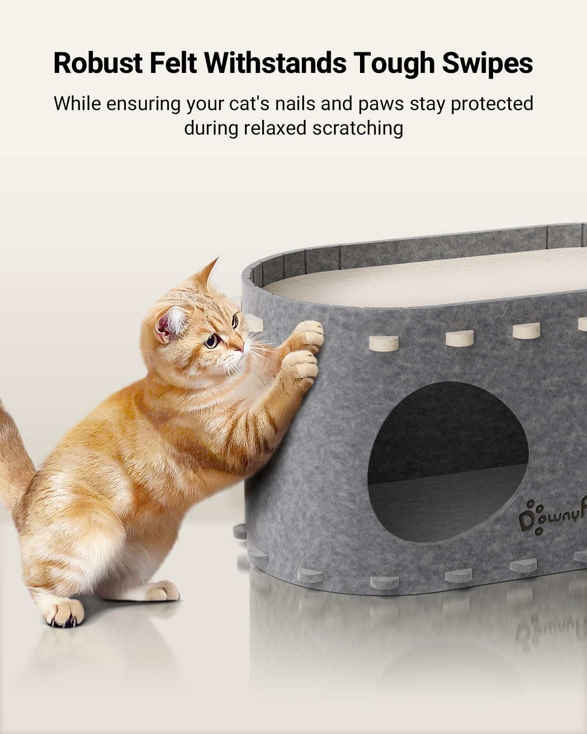 DownyPaws comparaison taille avec règle montrant dimensions pratiques