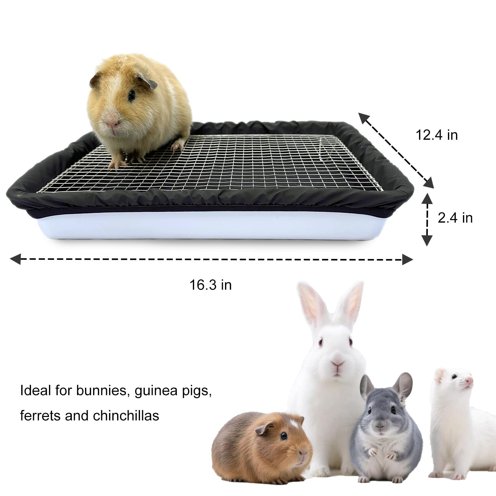 DOZZOPET comparaison de taille avec cochon d'inde illustrant espace confortable