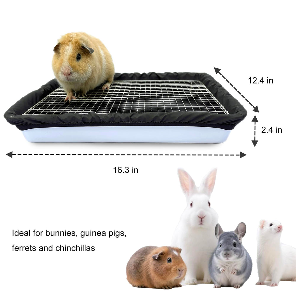 DOZZOPET comparaison de taille avec cochon d'inde illustrant espace confortable