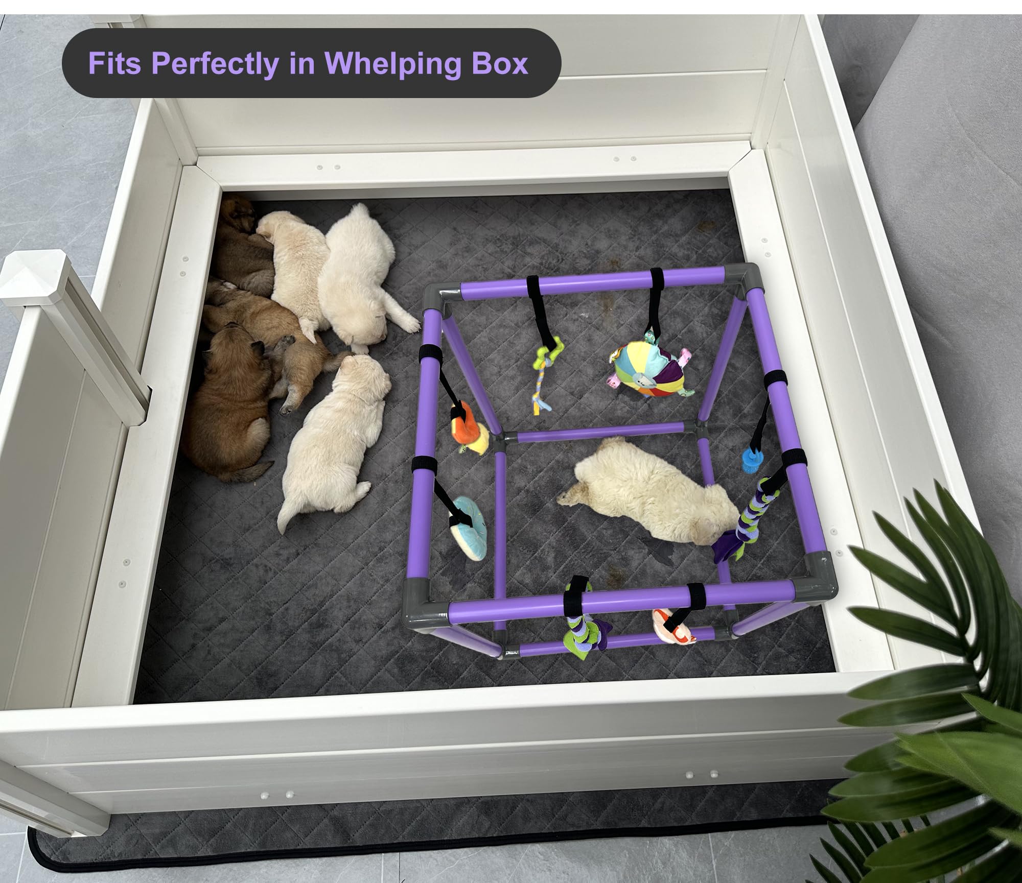 DOZZOPET ensemble de huit jouets amovibles pour diversité sensorielle