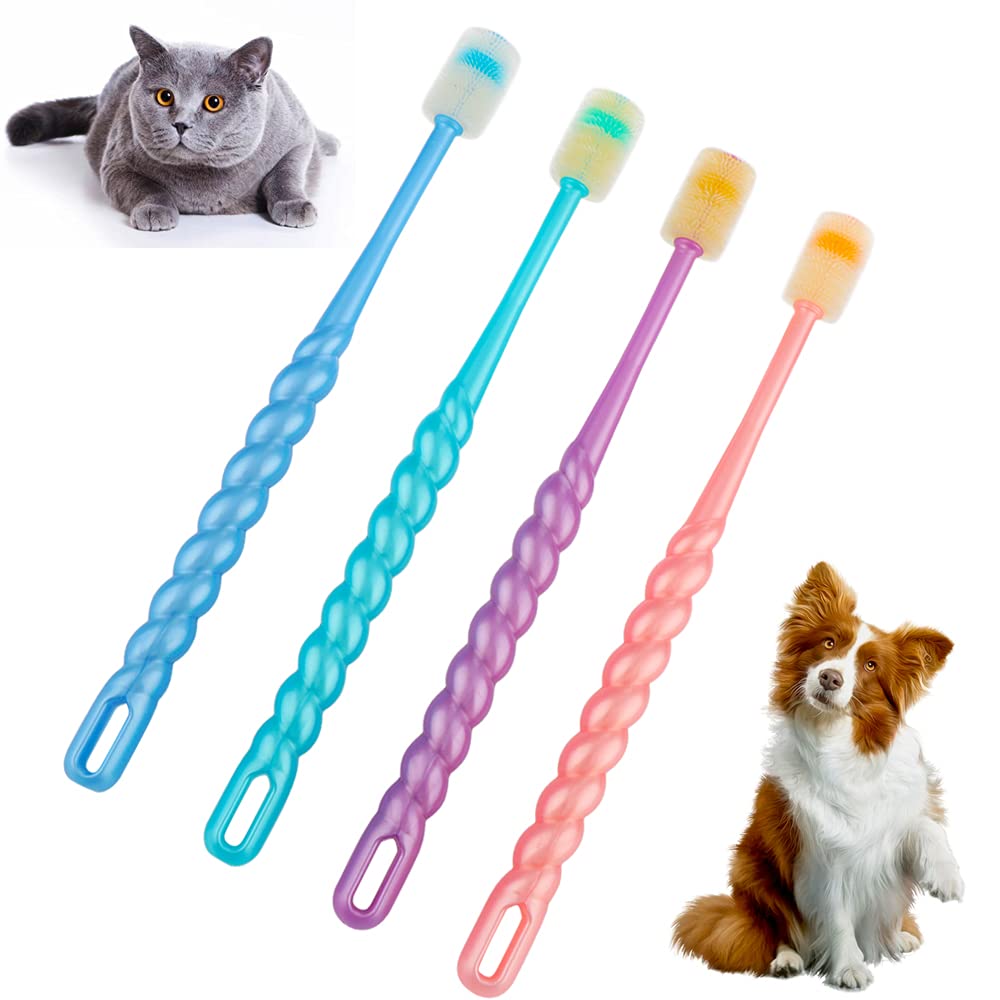 DQITJ brosse frontale montrant design compact et bénéfice nettoyage complet