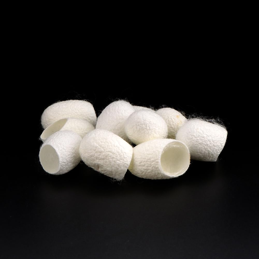DQITJ cocons rangés dans la boîte d'élevage pour manipulations faciles