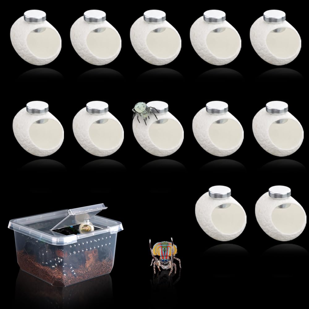 DQITJ lot de cocons emballage montrant contenu et aimants pratique