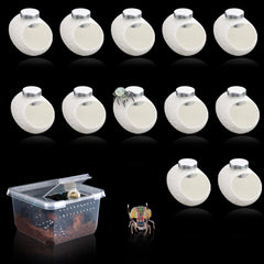 DQITJ lot de cocons emballage montrant contenu et aimants pratique