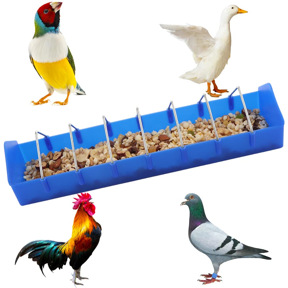 DQITJ grillage séparateur gros plan limitant les conflits d'oiseaux