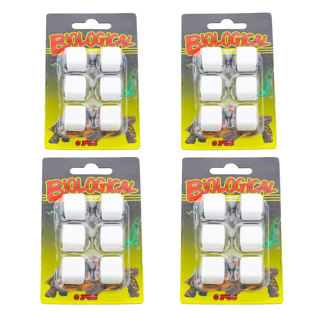 DQITJ emballage de 24 pierres de calcium bénéfice apport minéral pratique