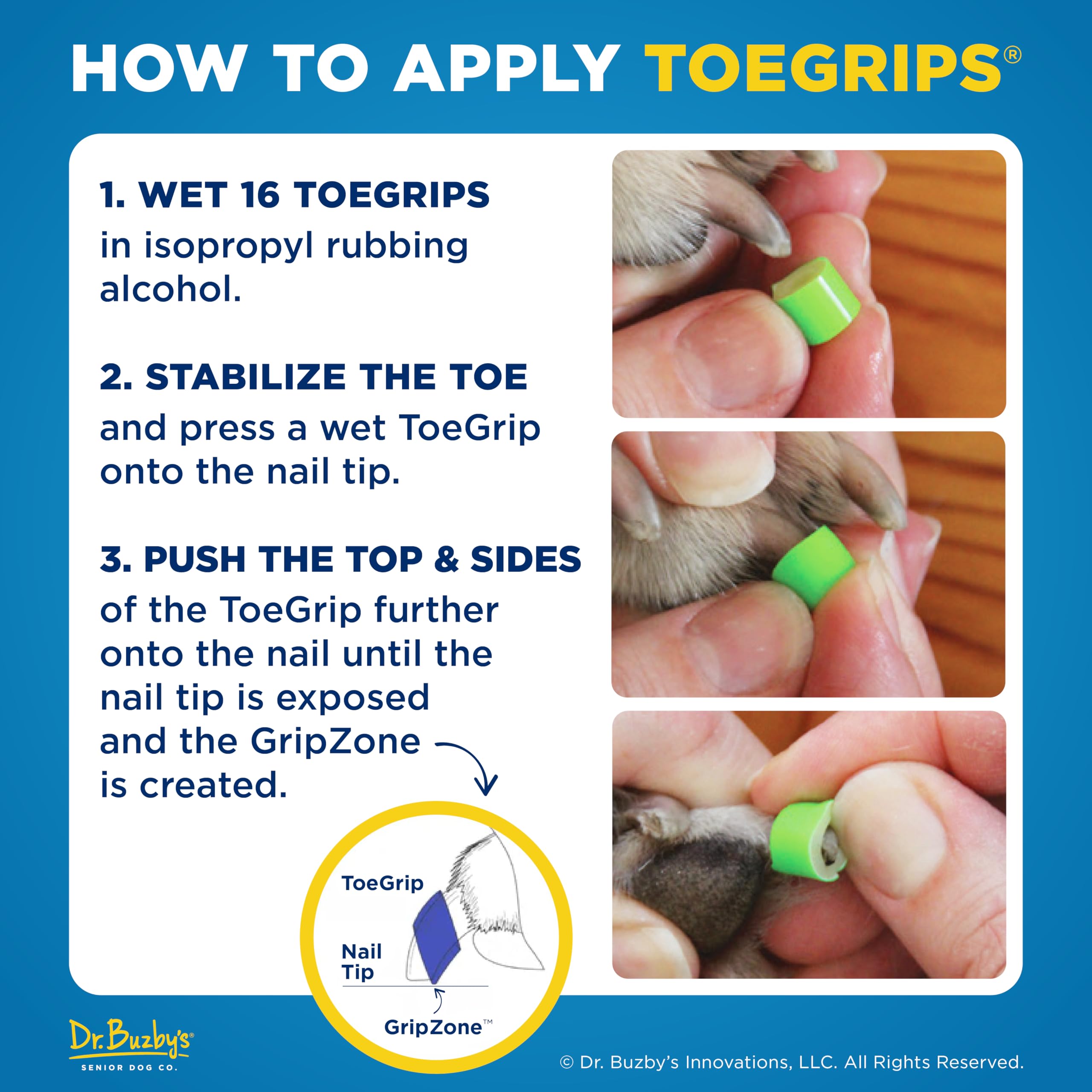 dr. buzby's chien marchant sur parquet avec ToeGrips offrant stabilité immédiate