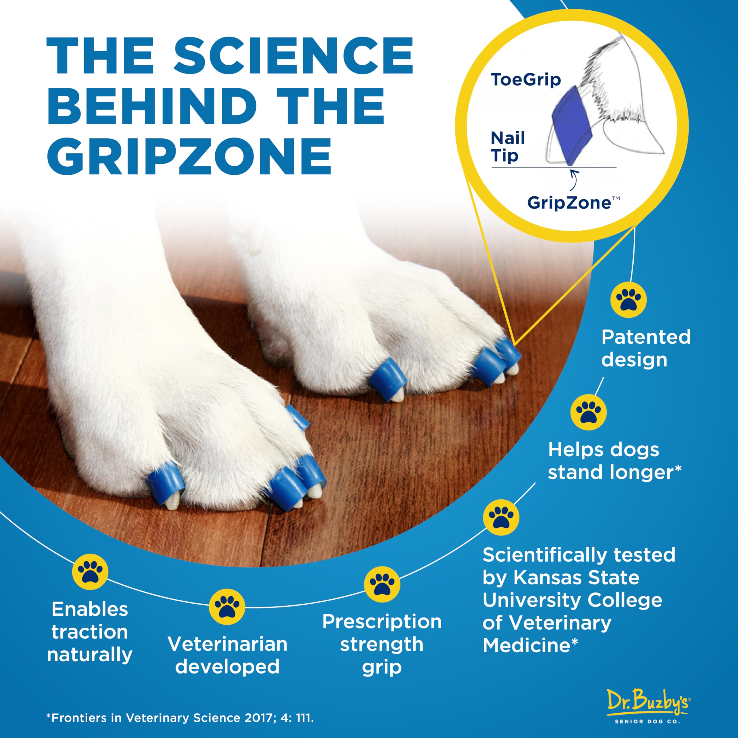 dr. buzby's chien confiant debout sur carrelage grâce à ToeGrips antidérapants