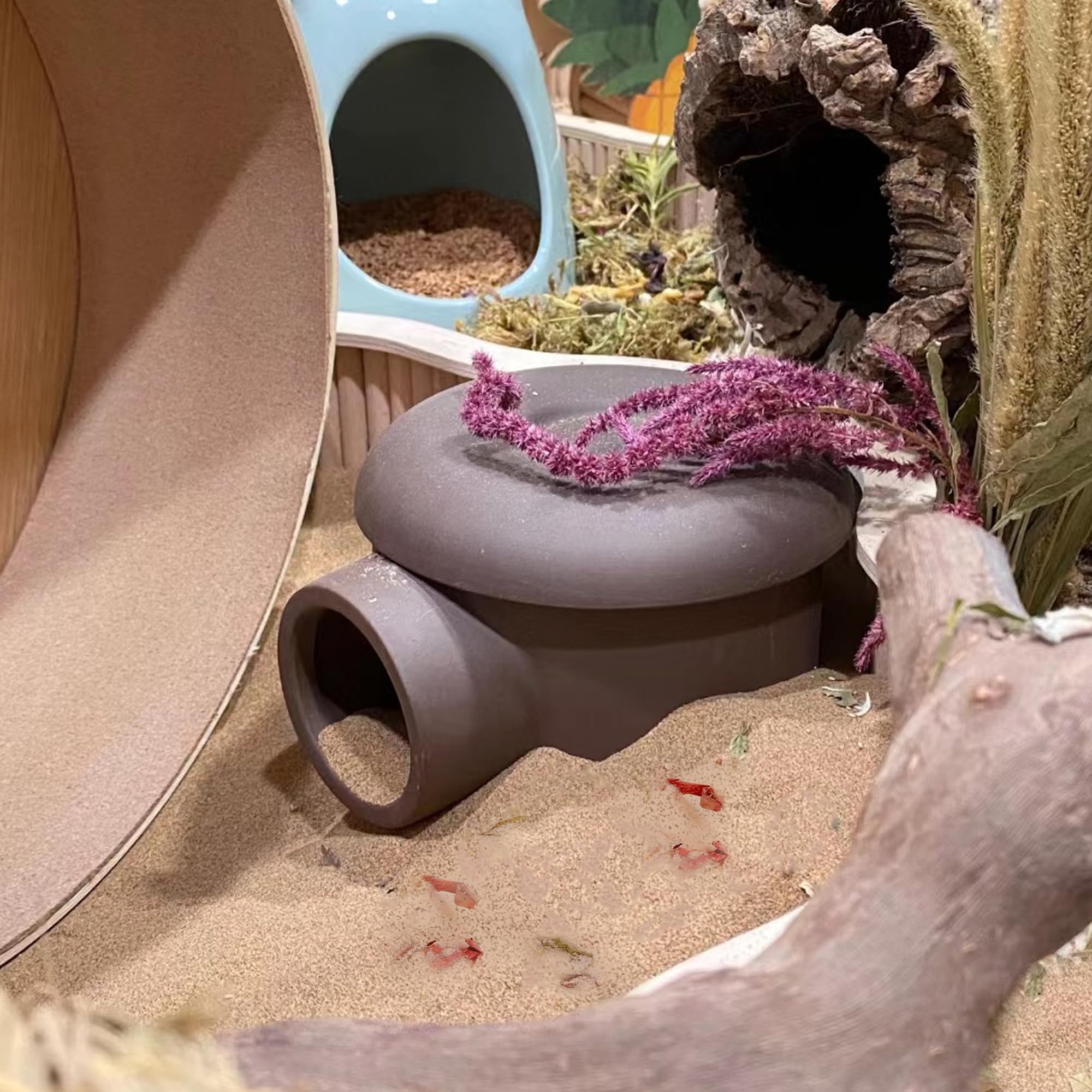 DR.DUDU mise en scène cage naturelle illustrant confort et bien-être animal