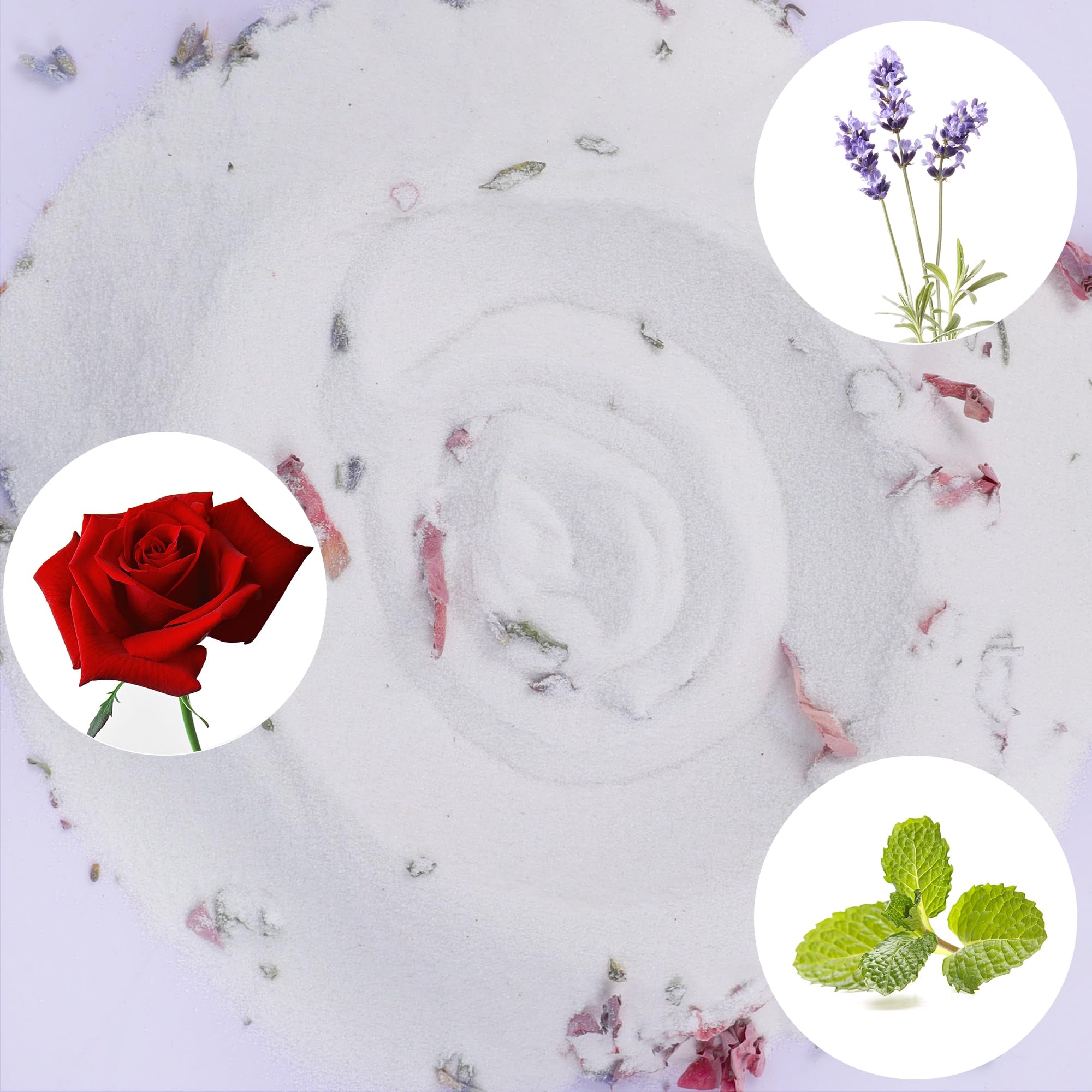 DR.DUDU gros plan sur texture de sable blanc, montre finesse pour nettoyage du pelage