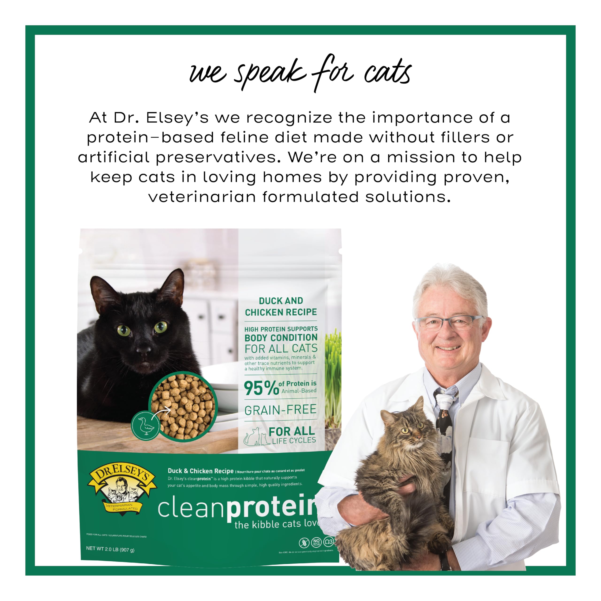 Dr. Elsey's chat au pelage brillant après alimentation nutritive