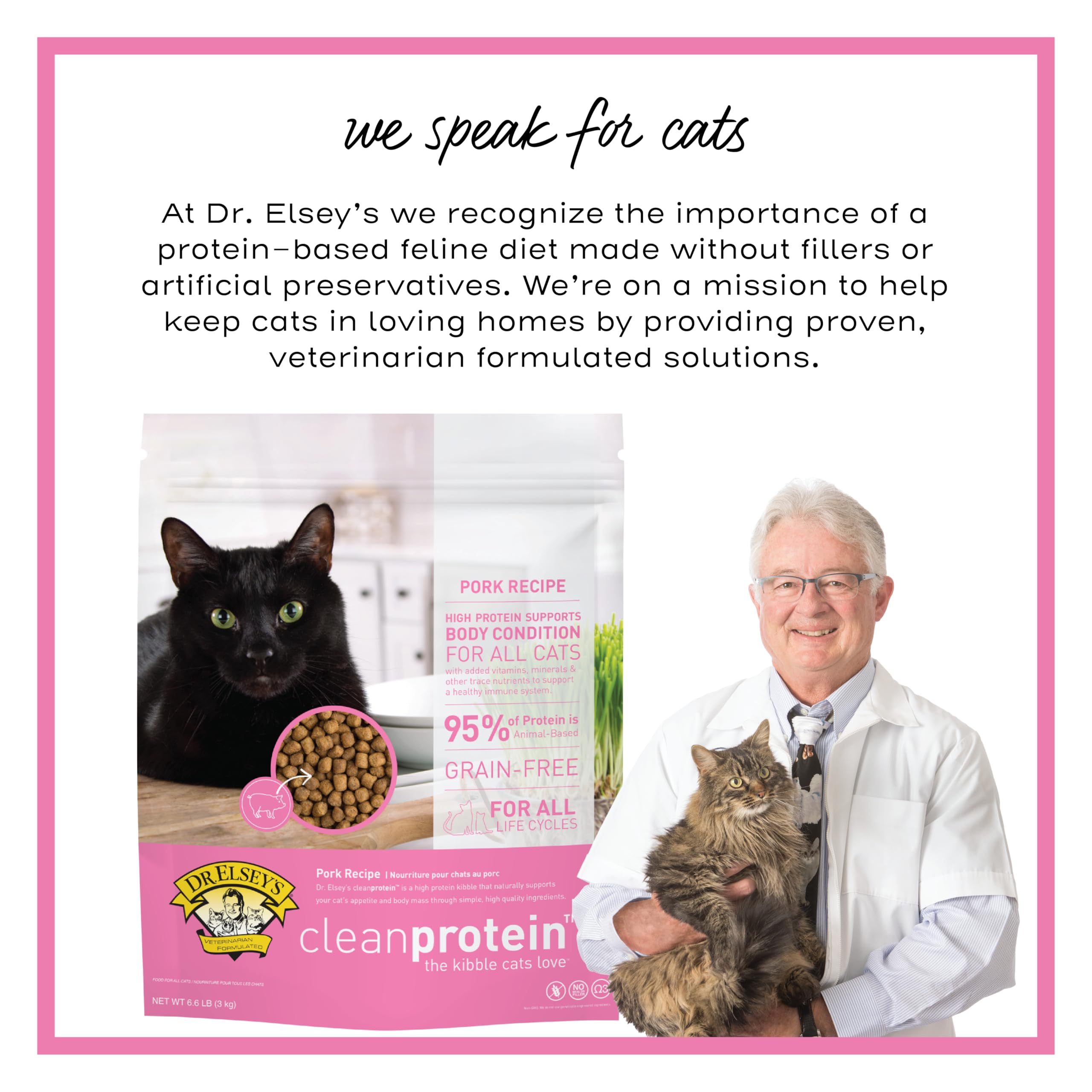 Dr. Elsey's chat mangeant croquettes démontrant acceptation gustative