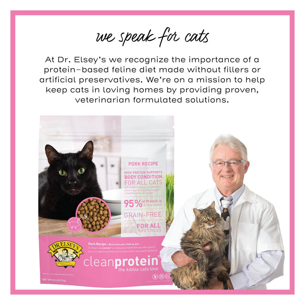 Dr. Elsey's chat mangeant croquettes démontrant acceptation gustative
