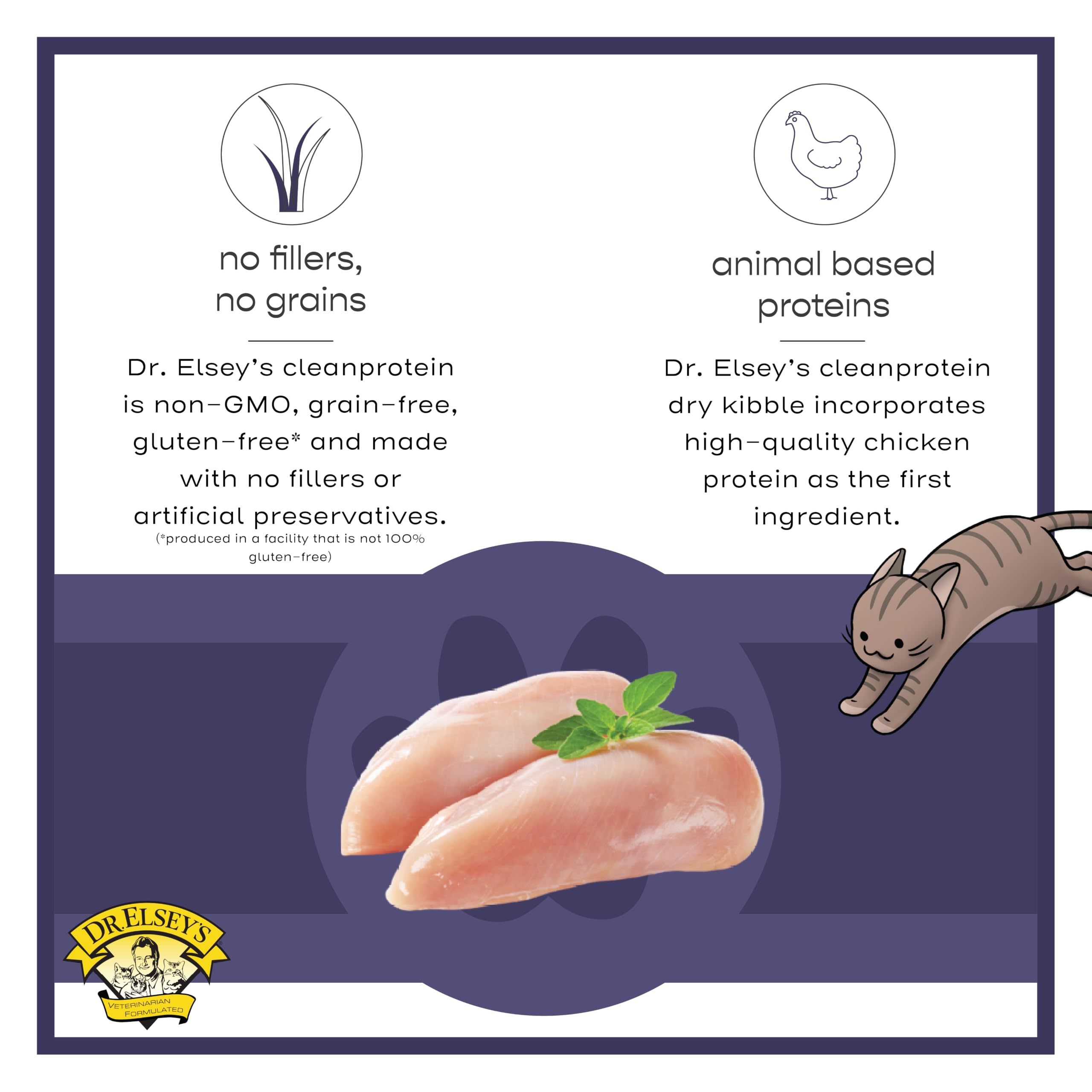 Dr. Elsey's chat qui mange la pouch, appétit stimulé et plaisir alimentaire