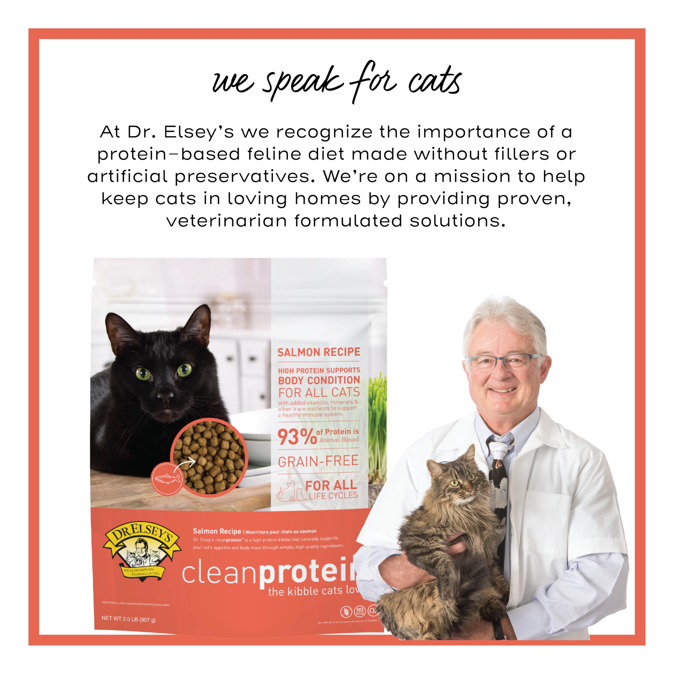 Dr. Elsey's chat mange sur table en bois pour bénéfice intégration quotidienne