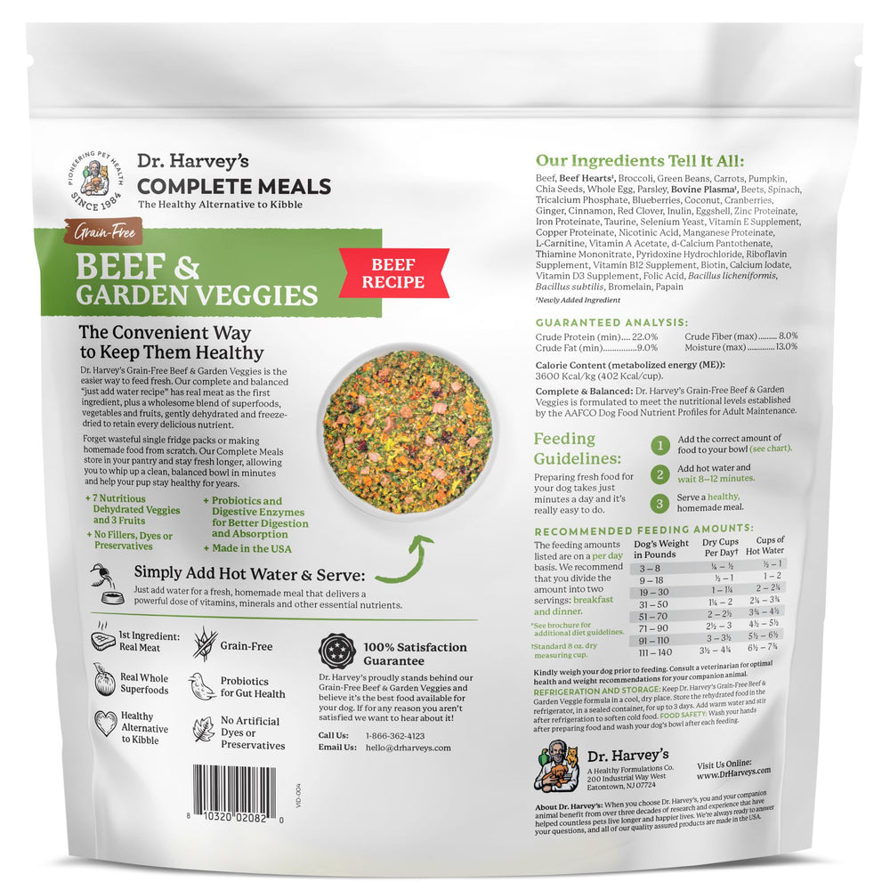 Dr. Harvey's chien mange dans une cuisine, repas sain et convivial