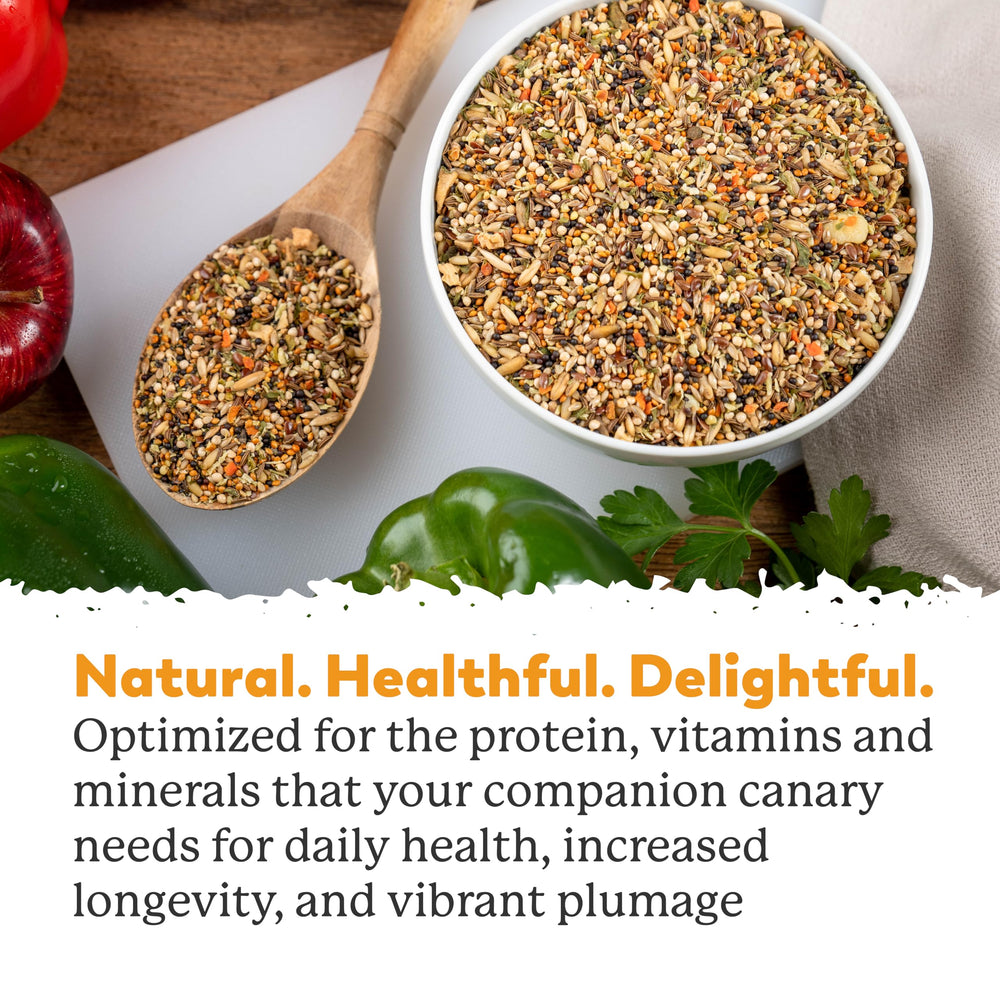 Dr. Harvey's étiquette analytique visible, informations nutritionnelles claires