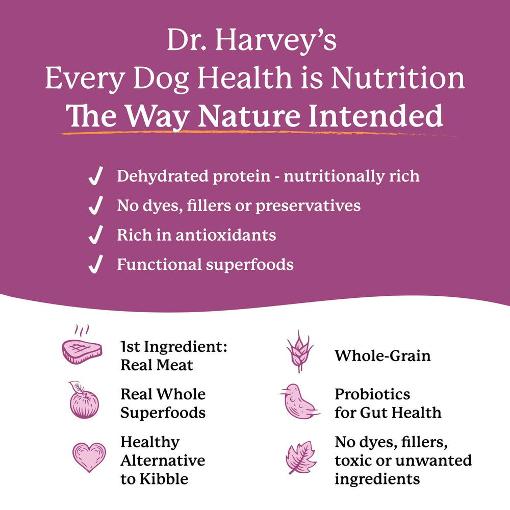 Dr. Harvey's chien mangeant montrant repas complet pratique au quotidien