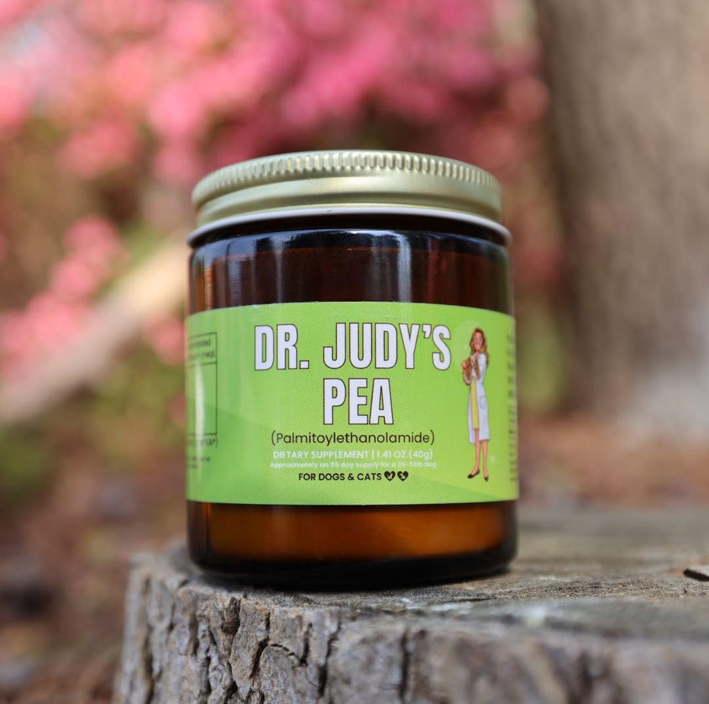 Dr. Judy Morgan's Naturally Healthy Pets gros plan poudre PEA montrant texture facile à mélanger
