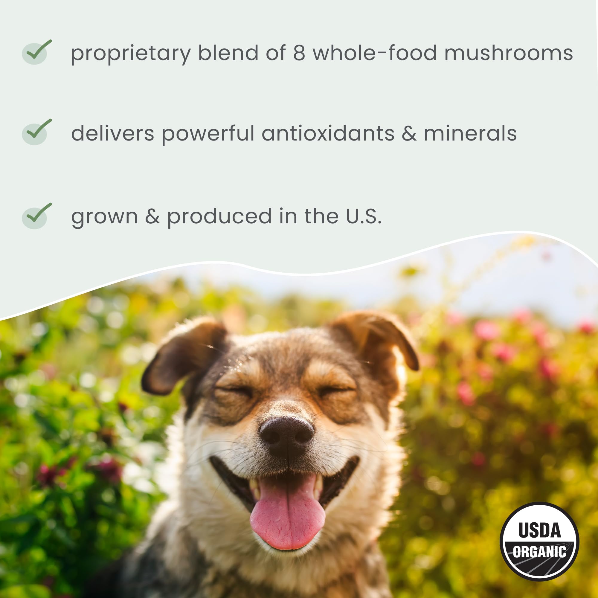 Dr. Mercola Bark & Whiskers poudre mélangée à la nourriture pour appétence améliorée