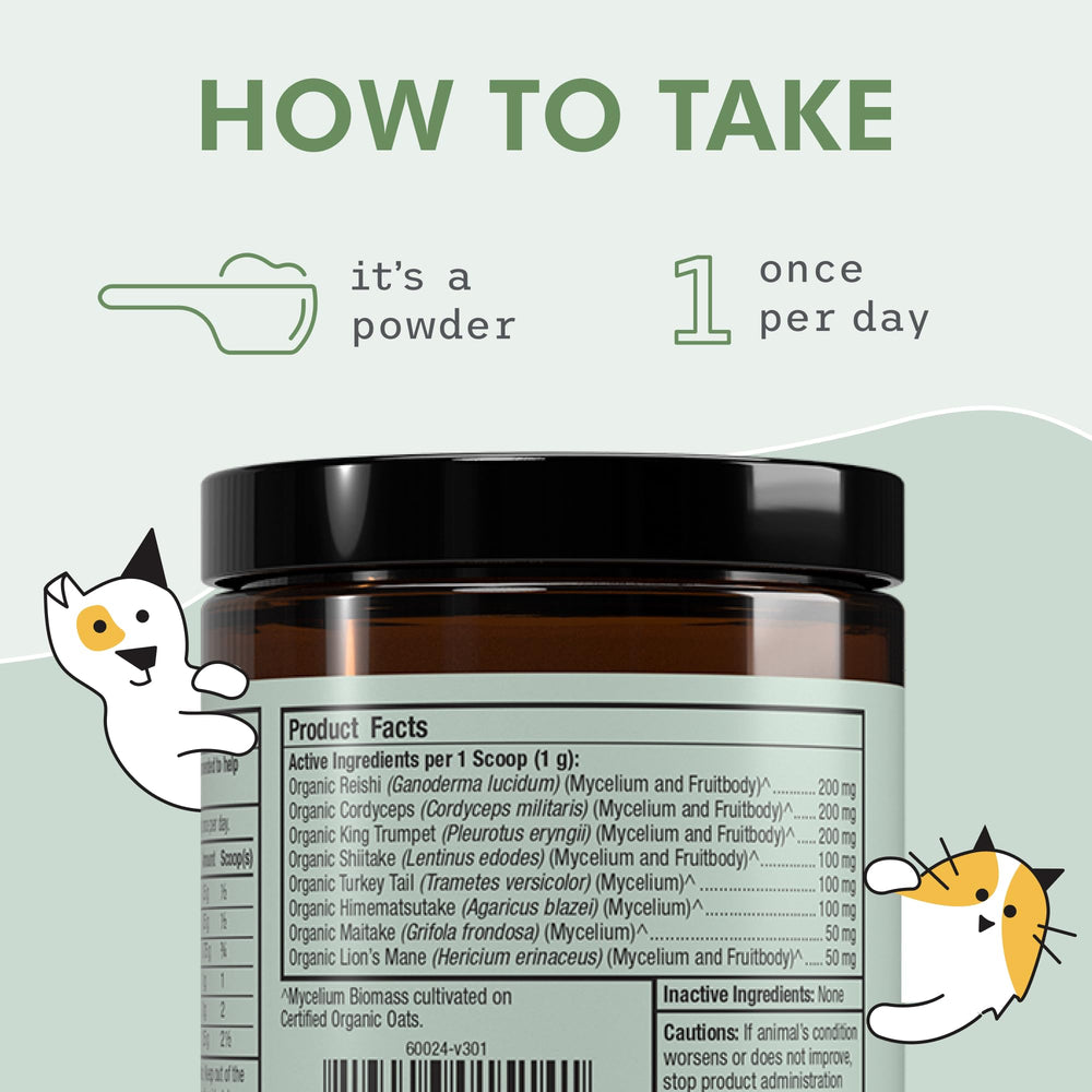 Dr. Mercola Bark & Whiskers pot à côté d'une règle pour comparaison de taille pratique
