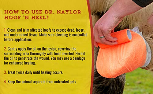 Dr. Naylor flacon 16oz près d'une règle pour comparaison d'échelle