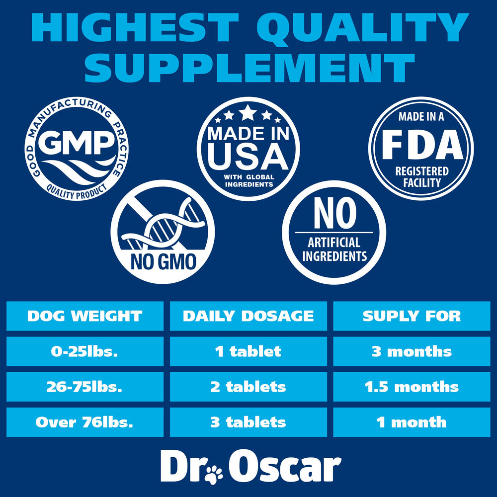Chien heureux proche du produit Dr. Oscar illustrant usage quotidien et confort