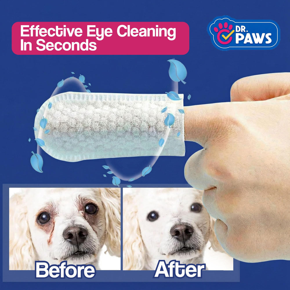Dr. Paws comparaison taille de la lingette dans une main pratique