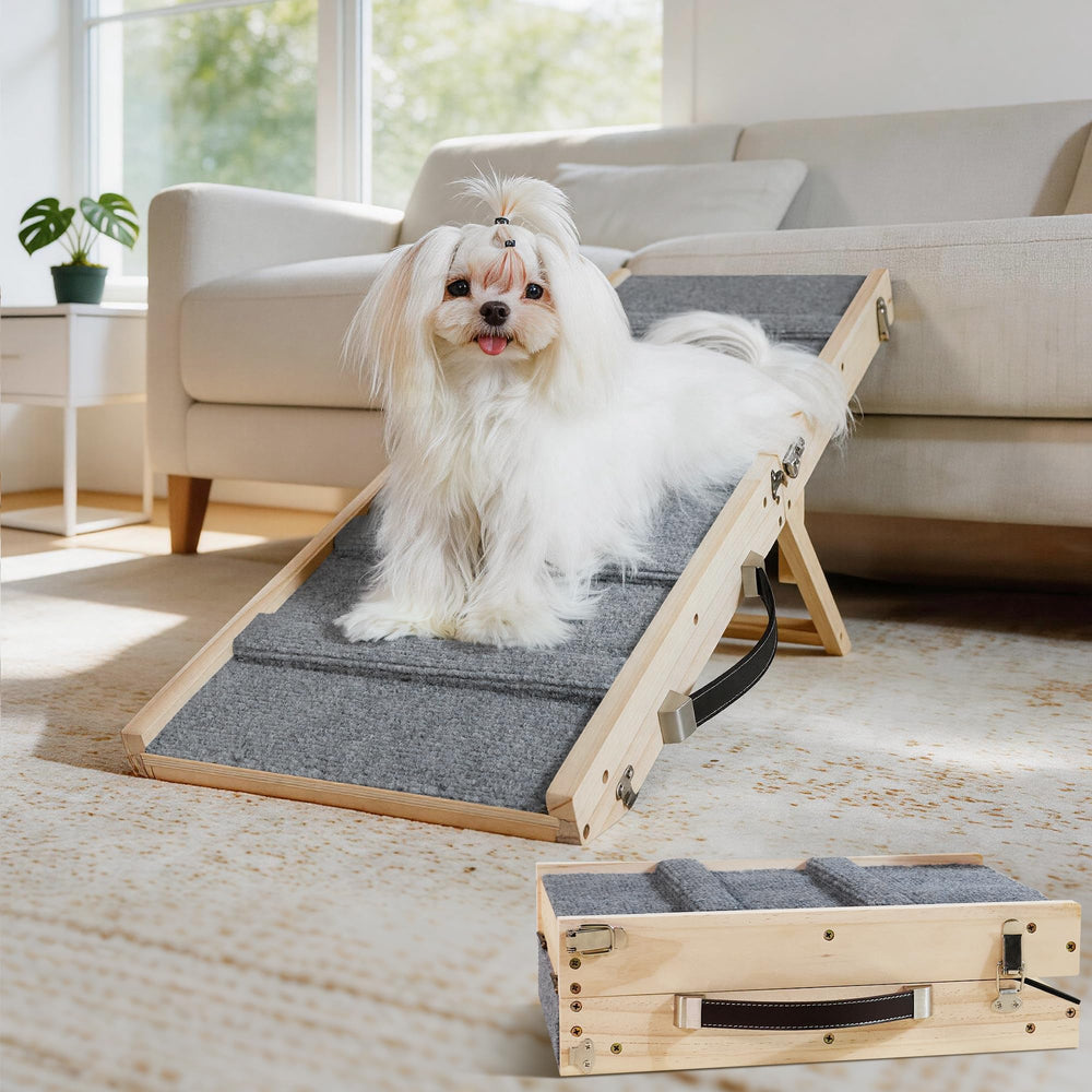 Drakthos rampe face complète montrant la pente sûre pour petits chiens