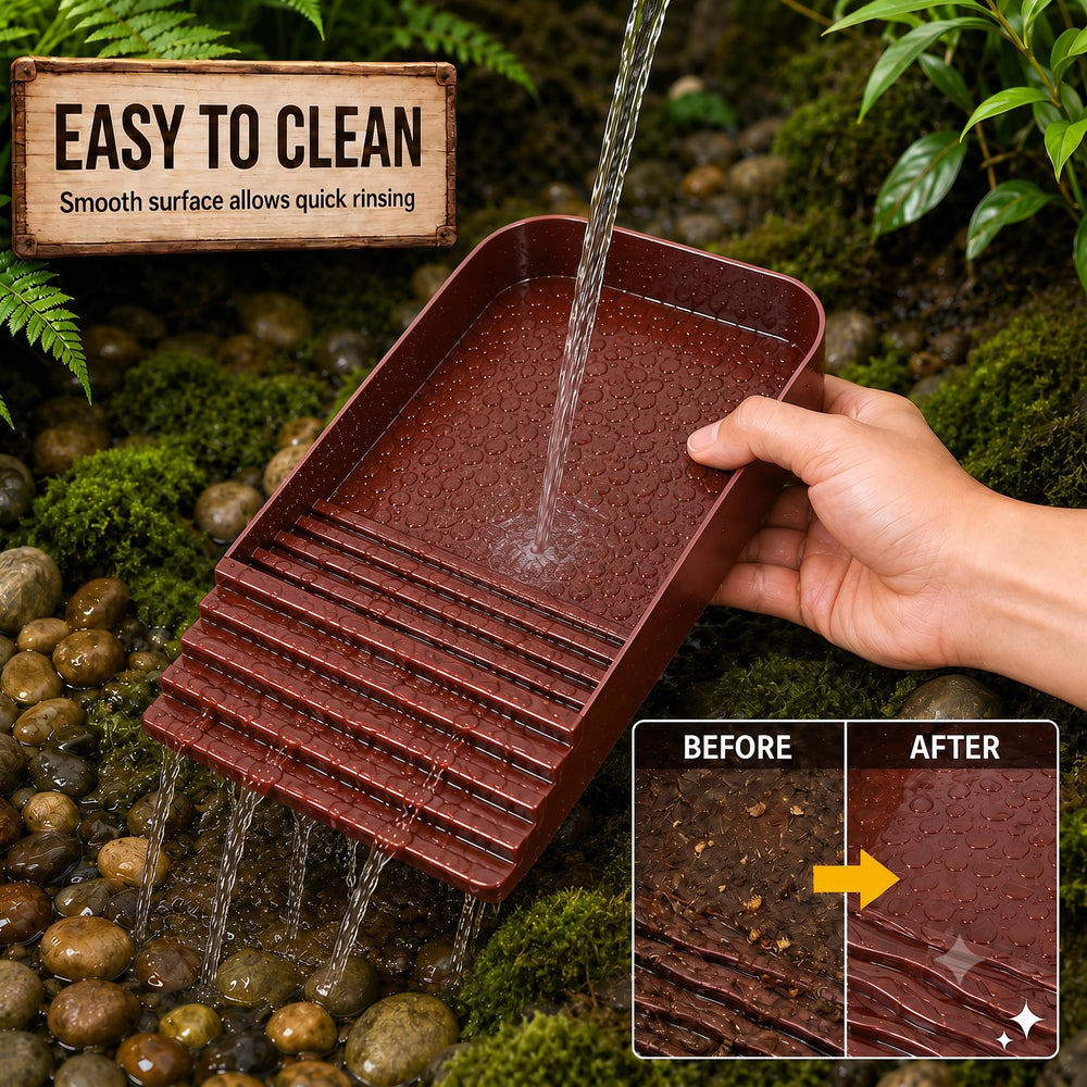 Drawpro bassin installé en terrarium ajoutant décor naturel et fonction