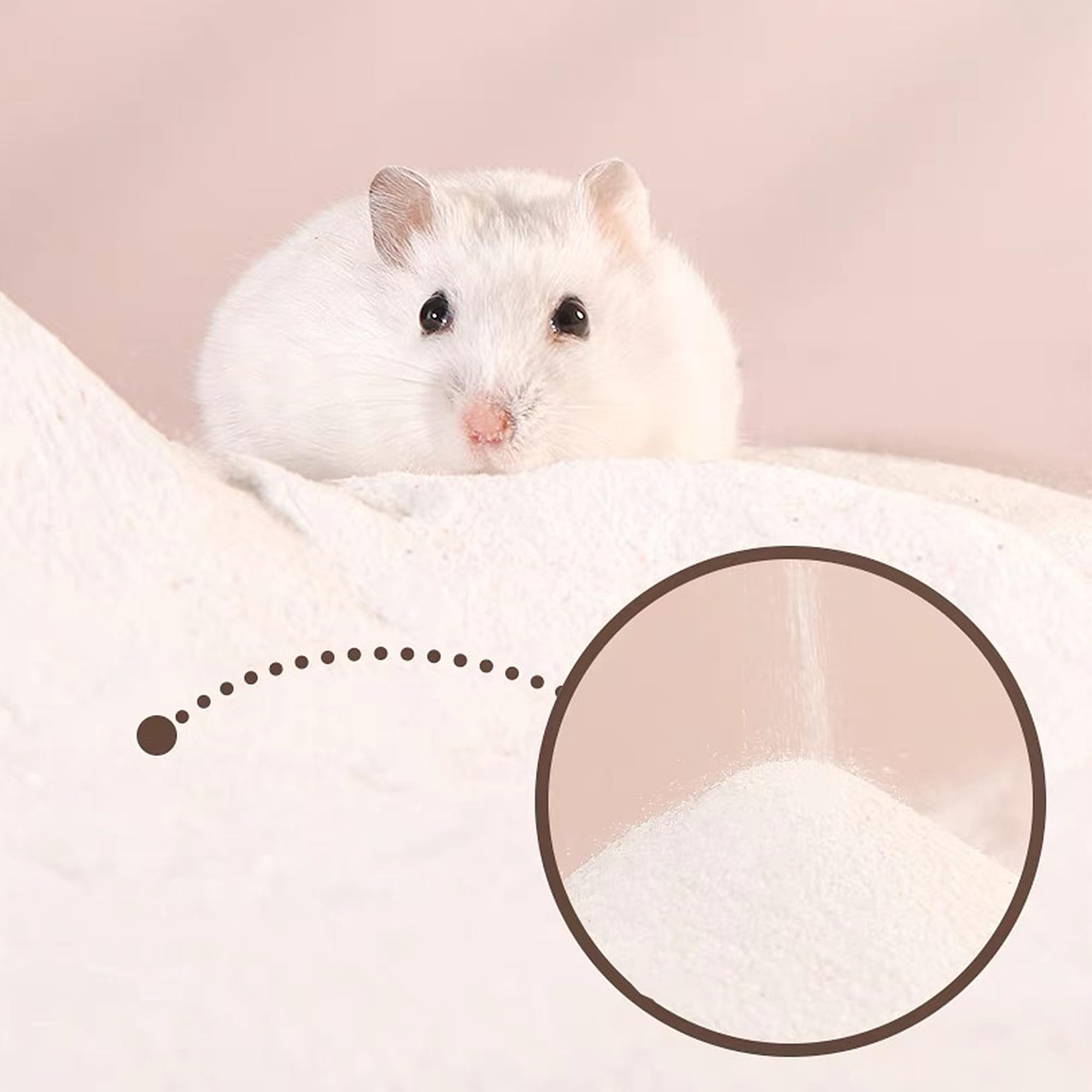 DR.DUDU bac de bain avec hamster profitant du sable pour toilettage naturel