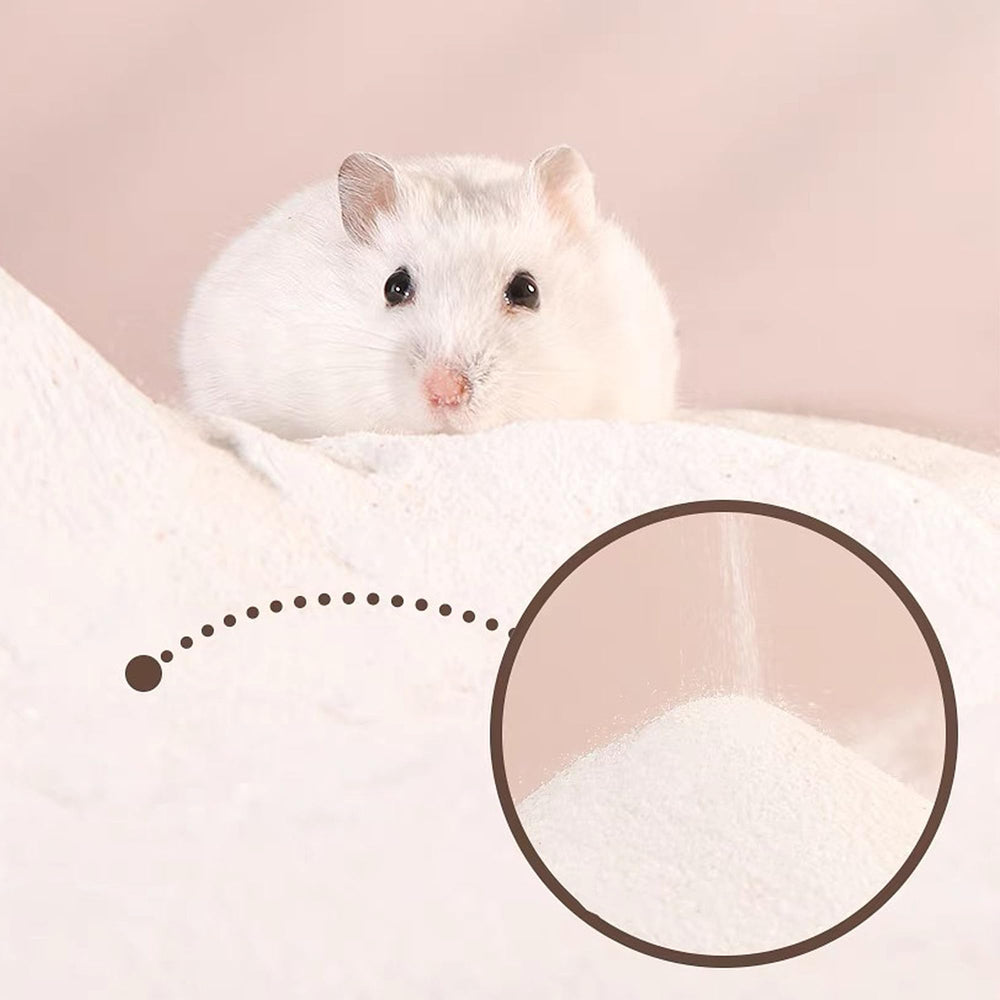 DR.DUDU bac de bain avec hamster profitant du sable pour toilettage naturel